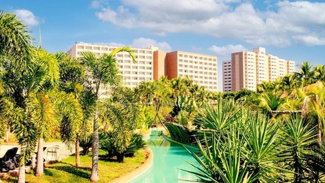 Suites de playa calientes
