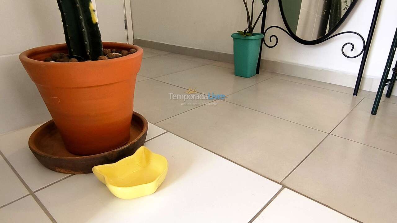 Apartment for vacation rental in Extrema (Ponte Nova)