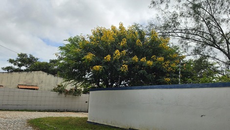 Chácara WILSON