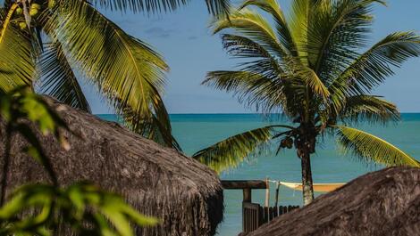 Casa para alugar em Trancoso - Trancoso
