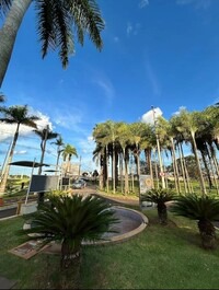 Apartamento para alugar em Uberlândia - Gávea