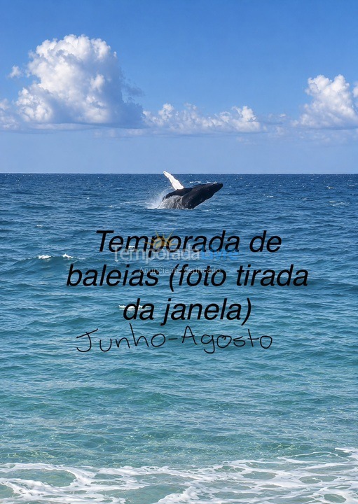 Casa para aluguel de temporada em Arraial do Cabo (Figueira)