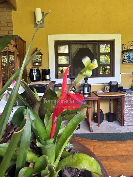Casa para aluguel de temporada em Monteiro Lobato (Santa Maria)