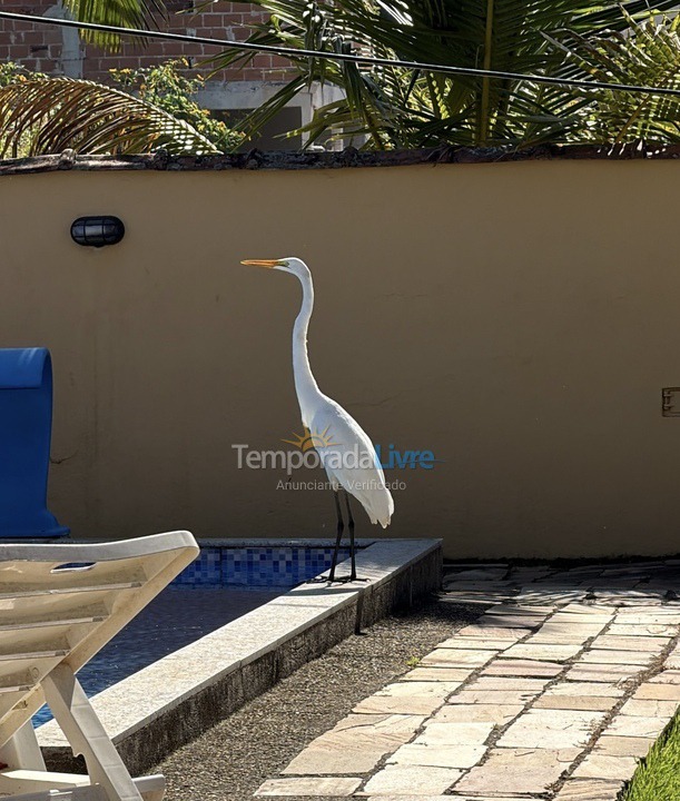 House for vacation rental in Paraty (Jabaquara E Pontal)