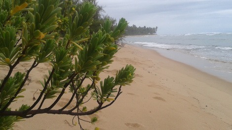Litoral ao norte