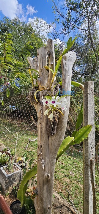Chácara / sítio para aluguel de temporada em Mairinque (Condomínio Porta do Sol)