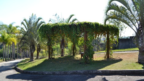 Pergolado