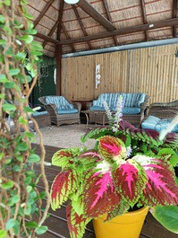 Relax