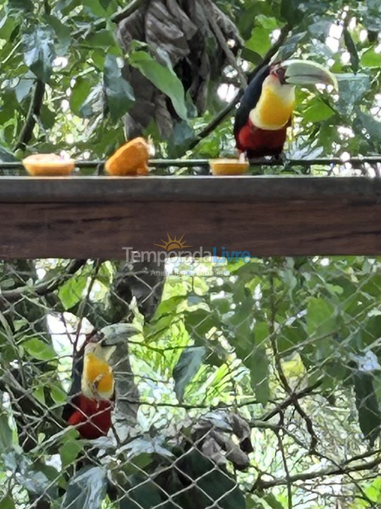 Casa para aluguel de temporada em Ilhabela (Praia da Feiticeira)
