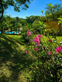 Sítio Borboletas - Morro do Saboo - São Roque.
