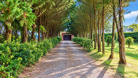 Entrada