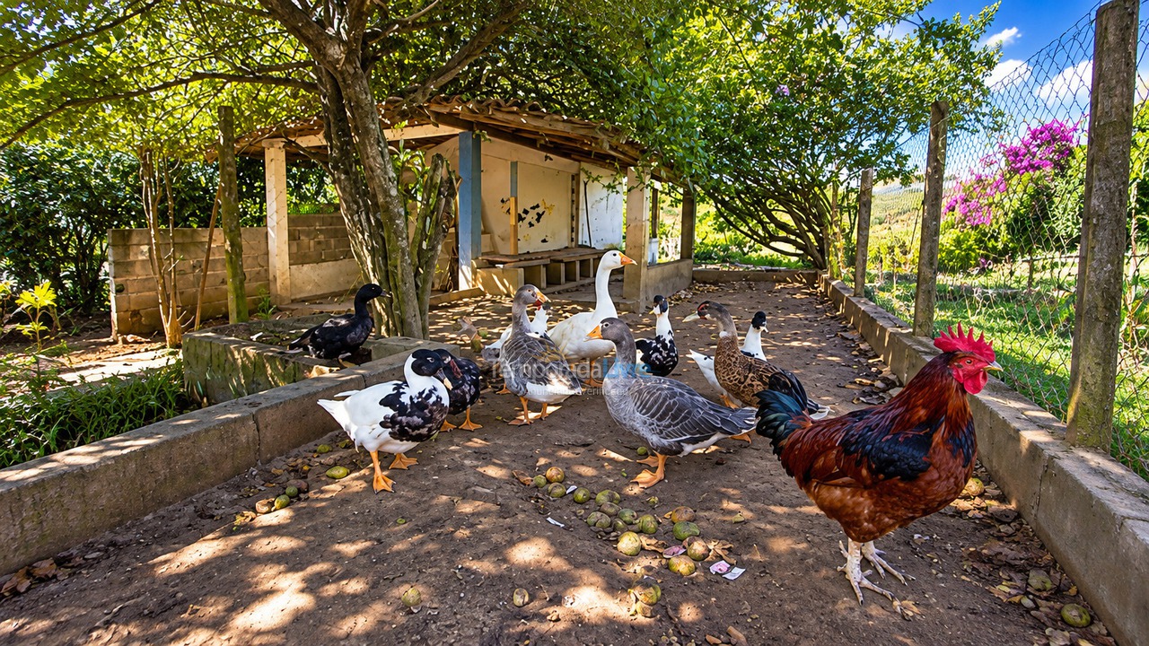 Chácara / sítio para aluguel de temporada em Ibiúna (Bairro da Ressaca)