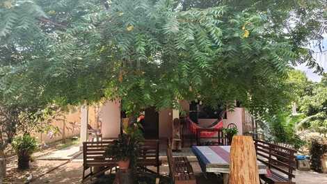 Ambiente arborizada 