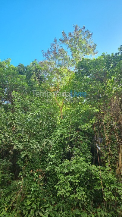 Apartment for vacation rental in Rio de Janeiro (Copacabana)