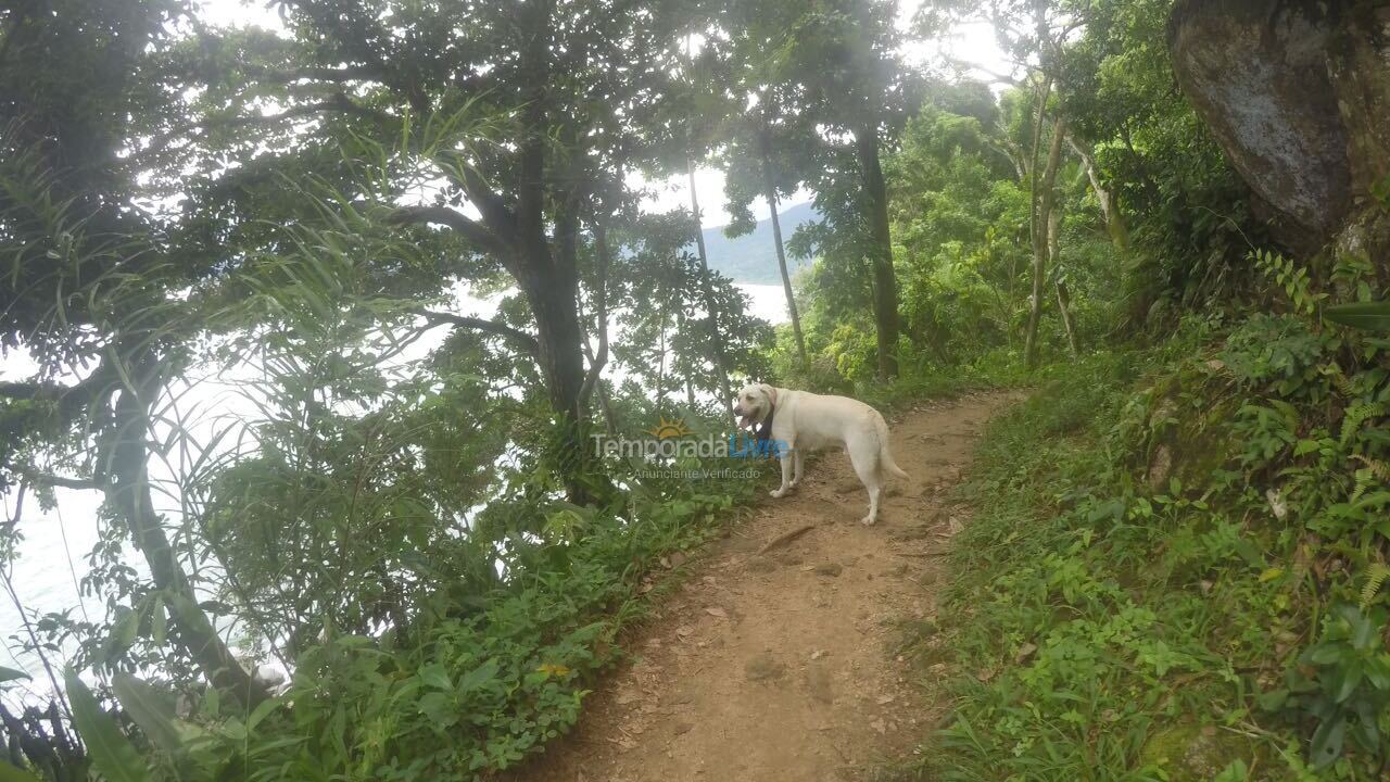 Apartamento para aluguel de temporada em Ubatuba (Maranduba)