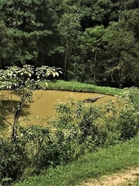 Lago na eco guaricana