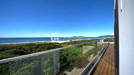 High-End Coverage | New Campeche